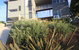 Crisilis Architecture - thumb 0