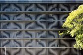 m3architecture Petrie Terrace