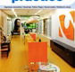 Damien McQuillan Architect Pty Ltd - Architects Australia