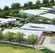 Thomson Rossi - Architects Australia