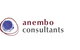 Anembo Consultants Pty Ltd - thumb 0