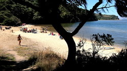 Deadly mystery unfolds as canoeists are found unresponsive after midnight trip Architects Australia
