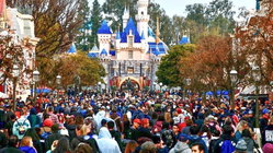 Disneyland guests left scrambling after water outage shuts bathrooms and restaurants Architects Australia