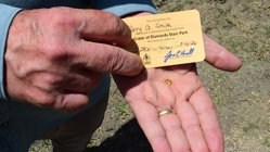 Grandfather finds hidden treasure in plain sight as park officials 'dumbfounded' by discovery Architects Australia