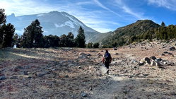Mount Shasta climber recounts harrowing 500-foot slide, overnight crawl to safety: report Architects Australia