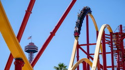 Popular amusement park bans guest for life after roller coaster stunt viral video Architects Australia